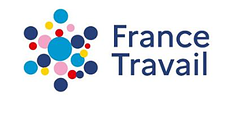 DSI France Travail logo